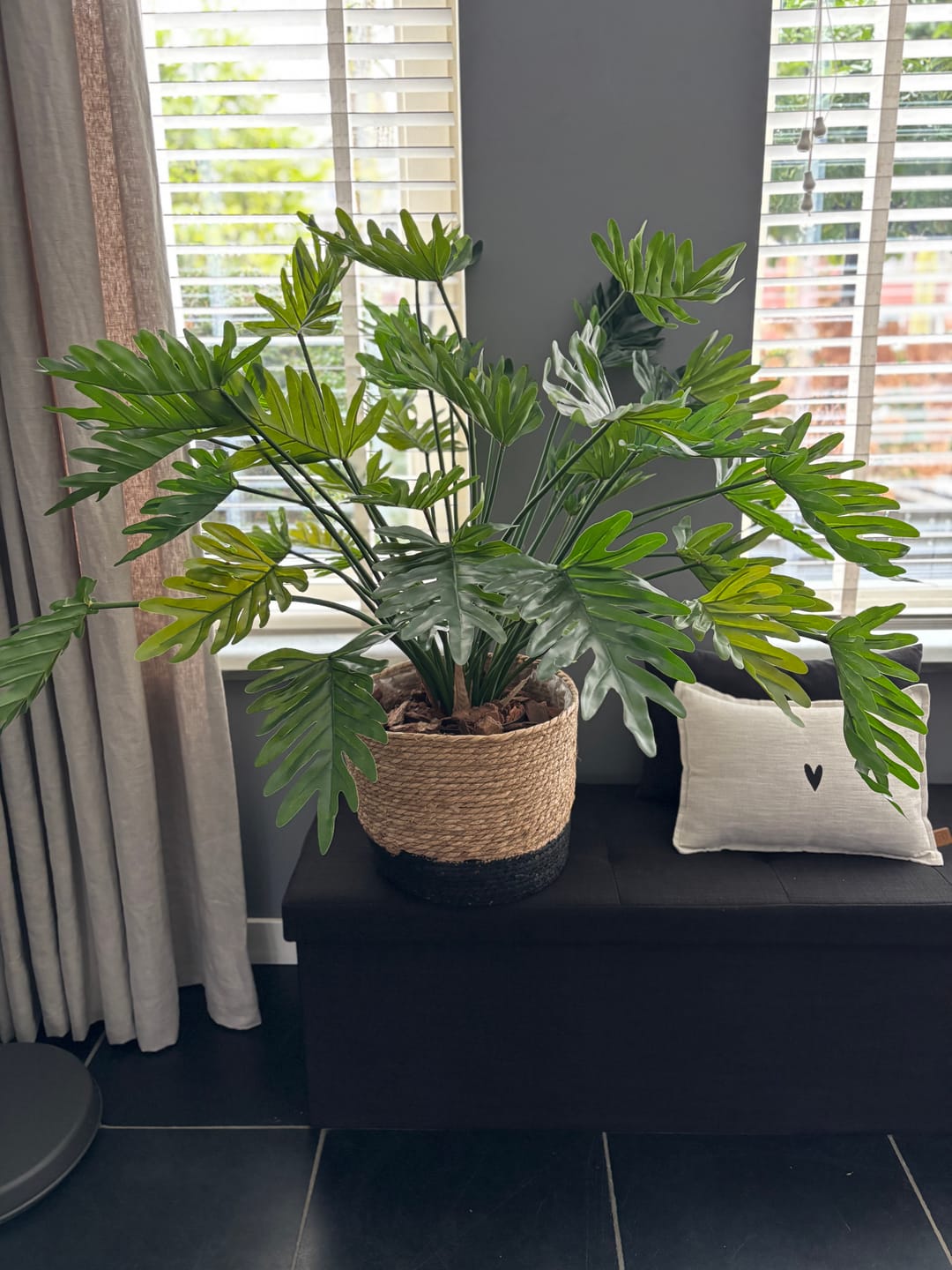 Customer photo review of Philodendron Kunstplant 75cm