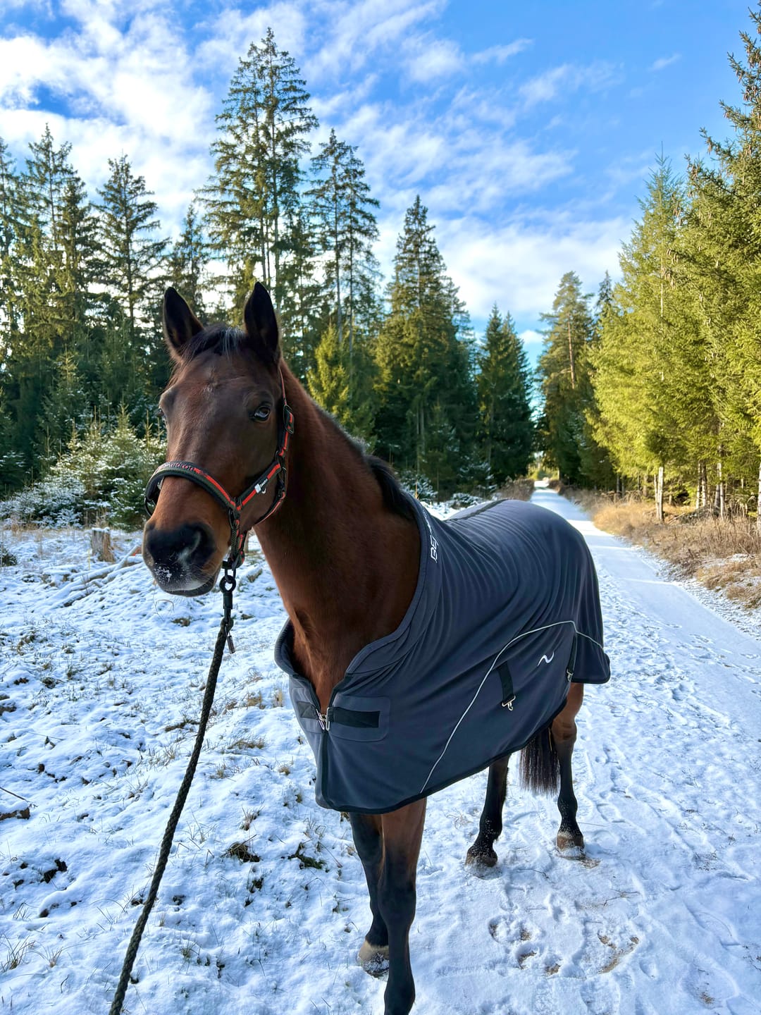 Customer photo review of Kristallkraft Coolly