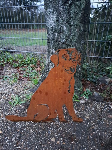 Customer photo review of Gartenstecker Labrador sitzend