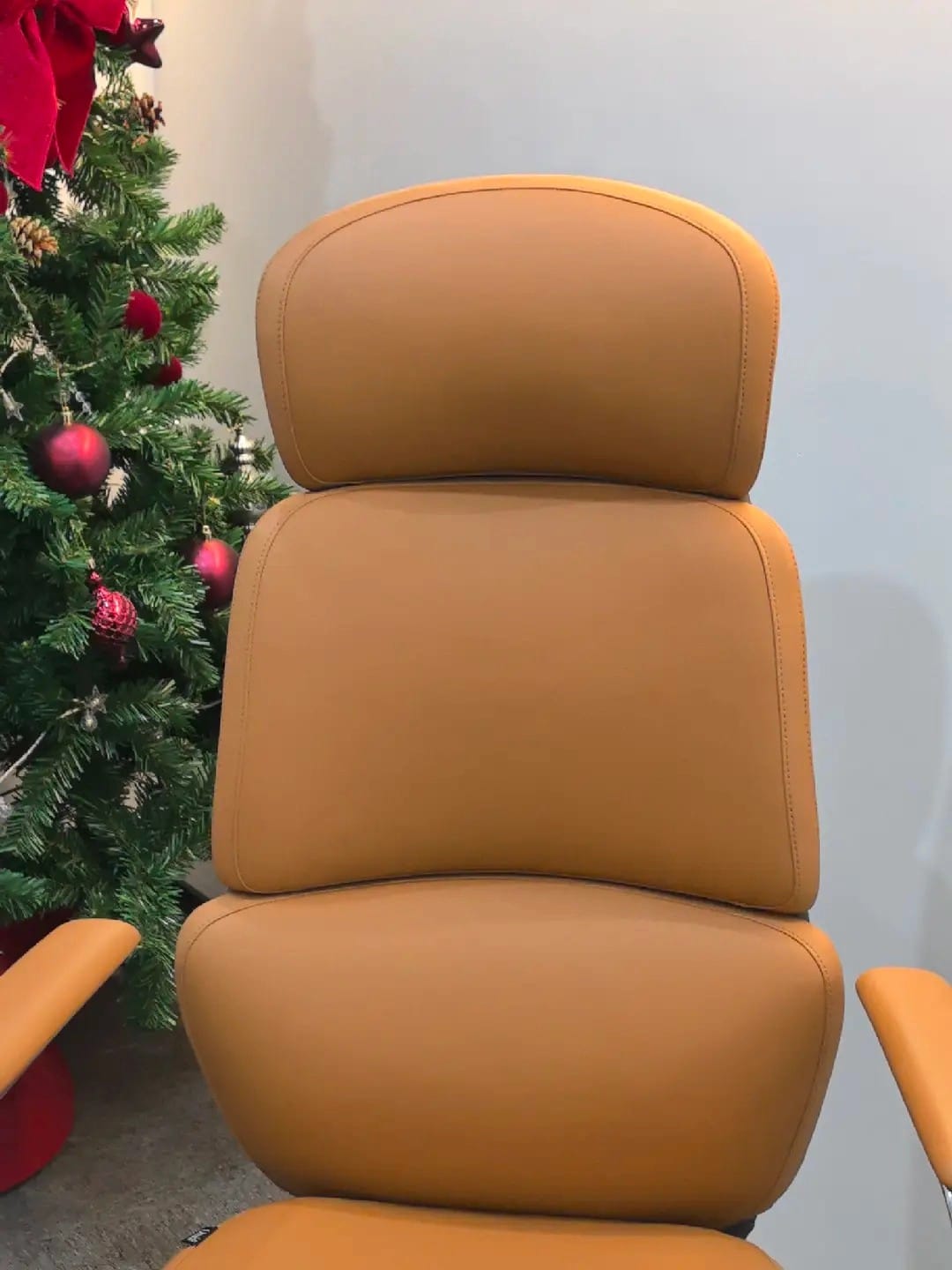 Customer photo review of Nolan Executive Leather Office Chair