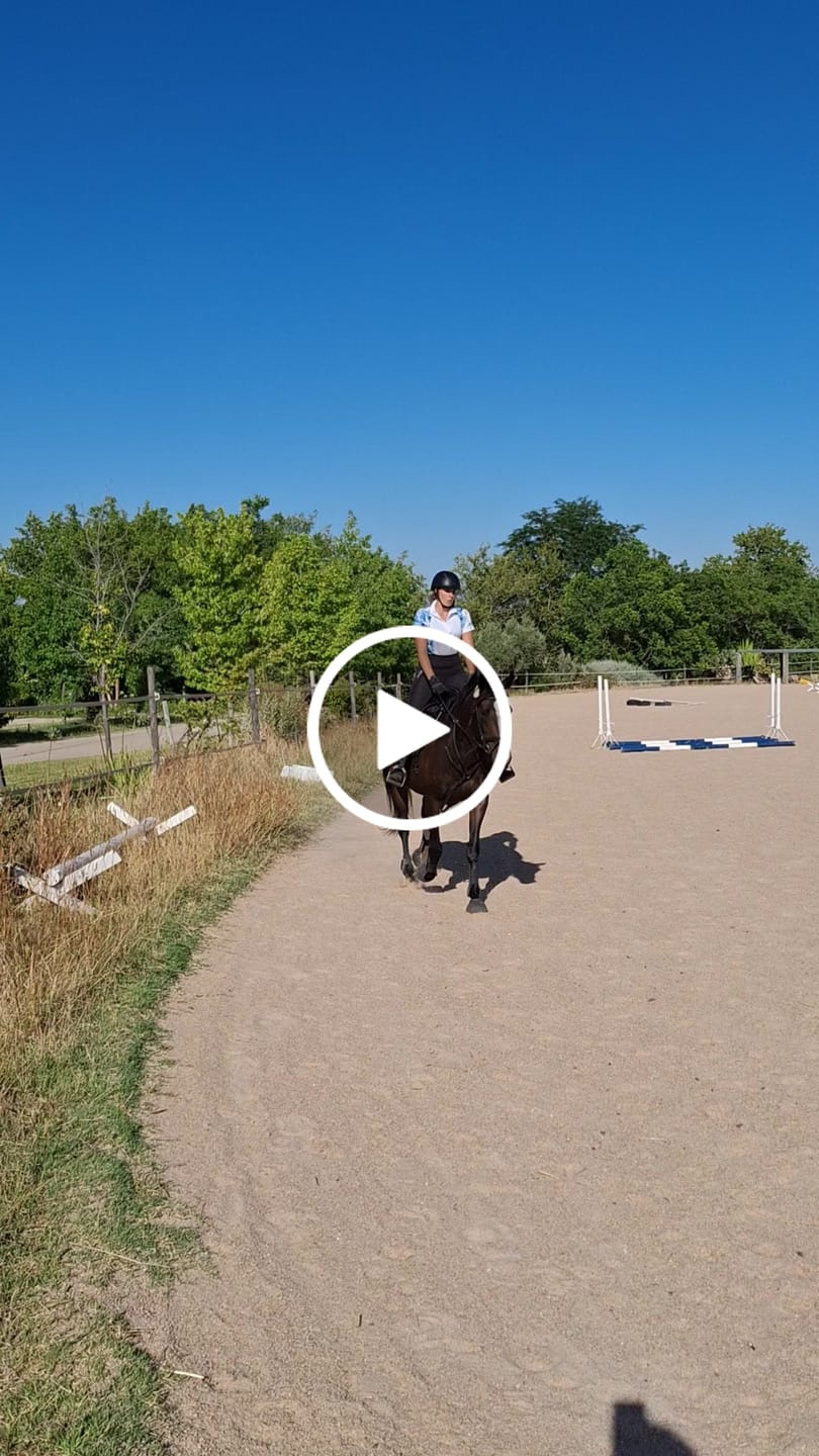 Customer video review of Flexcare Equine (Joint Supplement For Horses)