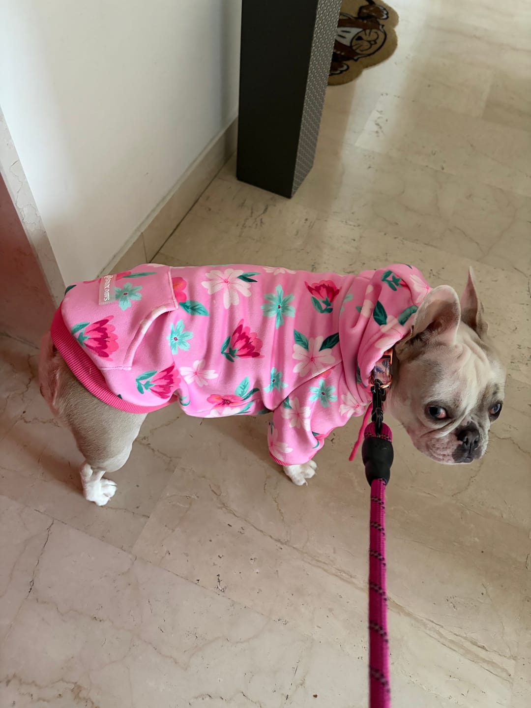 Customer photo review of Blossom Dog Hoodie - Pink