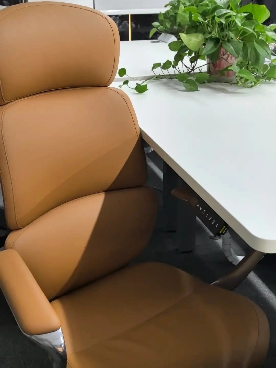 Customer photo review of Nolan Executive Leather Office Chair