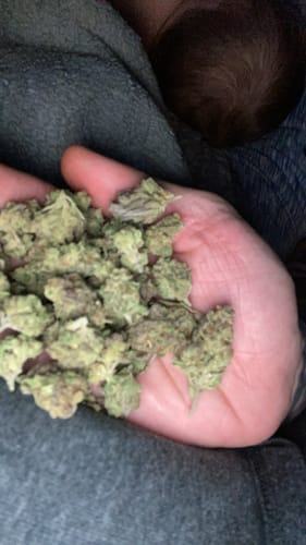 Customer photo review of Frosted Donuts Exotic THCA Flower