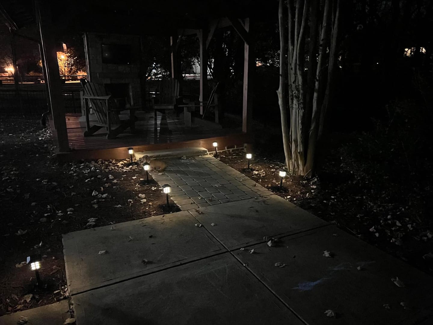 Customer photo review of BrightPath™ Solar Pathway Garden Light – Waterproof Outdoor LED Stake Light