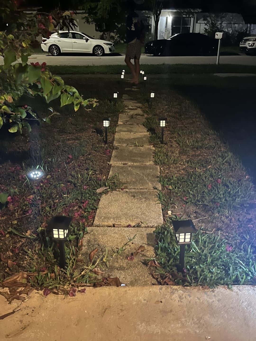 Customer photo review of BrightPath™ Solar Pathway Garden Light – Waterproof Outdoor LED Stake Light