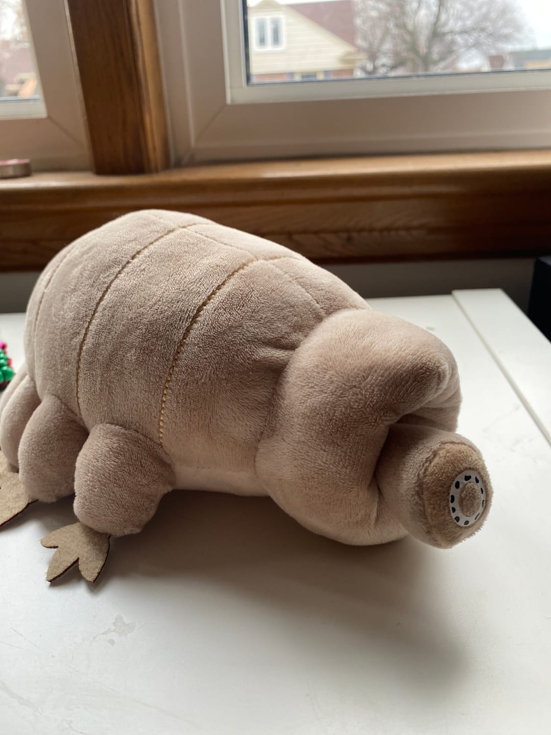Customer photo review of Tardigrade Water Bear Soft Stuffed Plush Toy