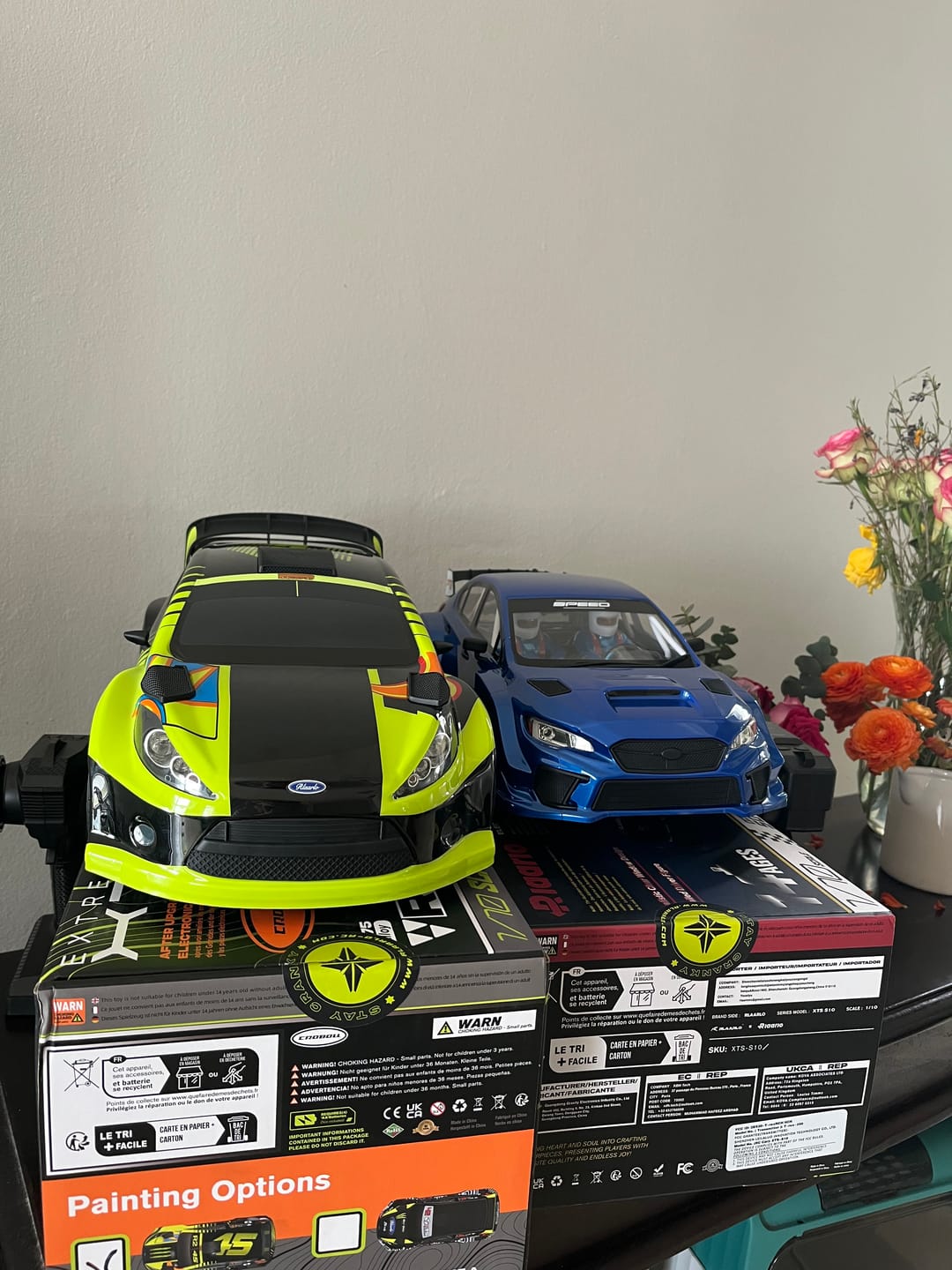 Customer photo review of 1/10 Scale RTR 4WD Carbon Fiber Brushless RC Rally Car | XTS-S10 and XTS-F10