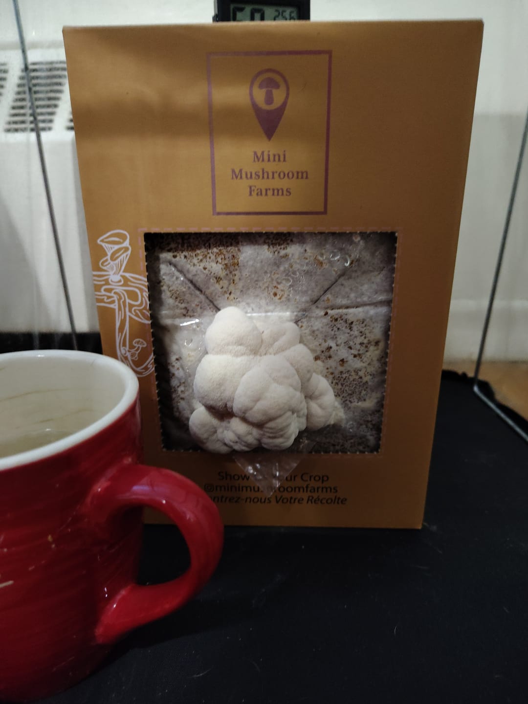 Customer photo review of Essentials Bundle Gift Set +2 Grow Kits