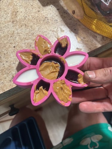 Customer photo review of Freezflower Cup -  Frozen Treat Cup for Calm, Happy Dogs