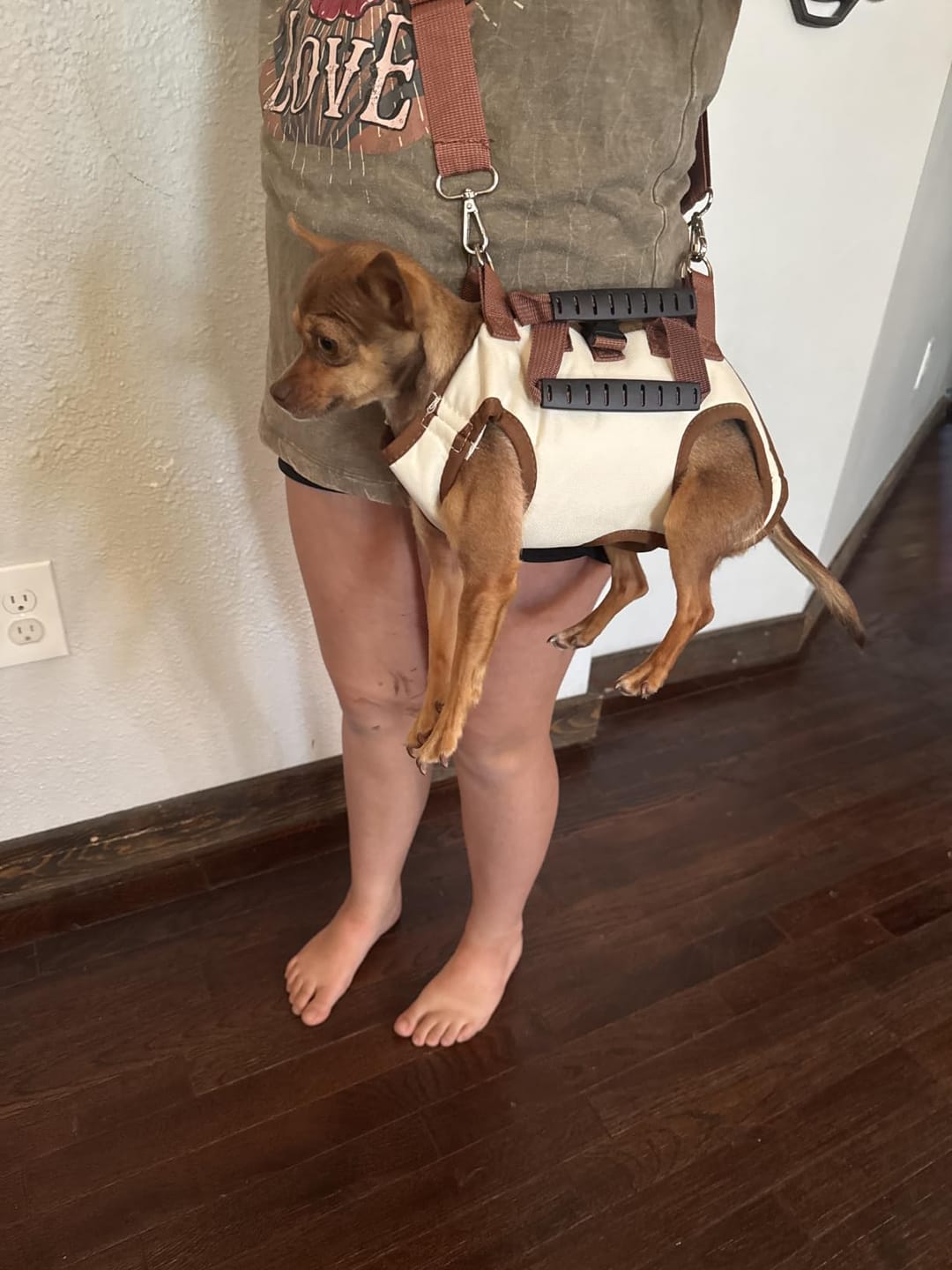 Customer photo review of Arnés de Transporte para Perros Pequeños