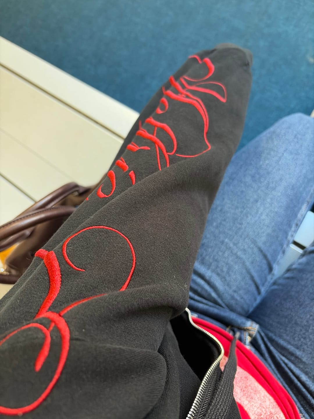 Customer photo review of Aelfric Eden Boxy Script Embroidery Hoodie Sets