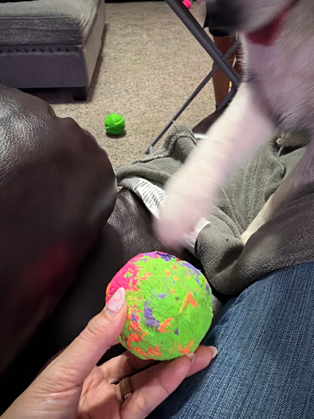 Customer photo review of WUNDERball - Best Fetch Toy