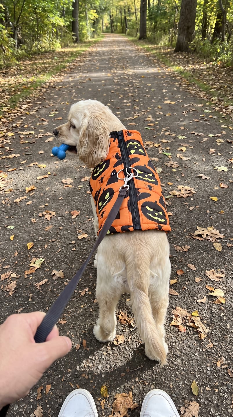 Customer photo review of Warm Whiskers Halloween Pet Vest