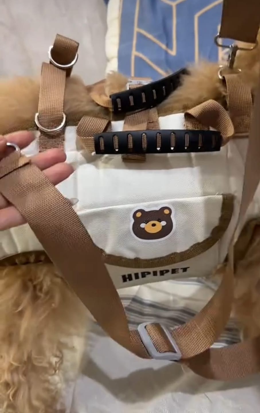 Customer photo review of Arnés de Transporte para Perros Pequeños