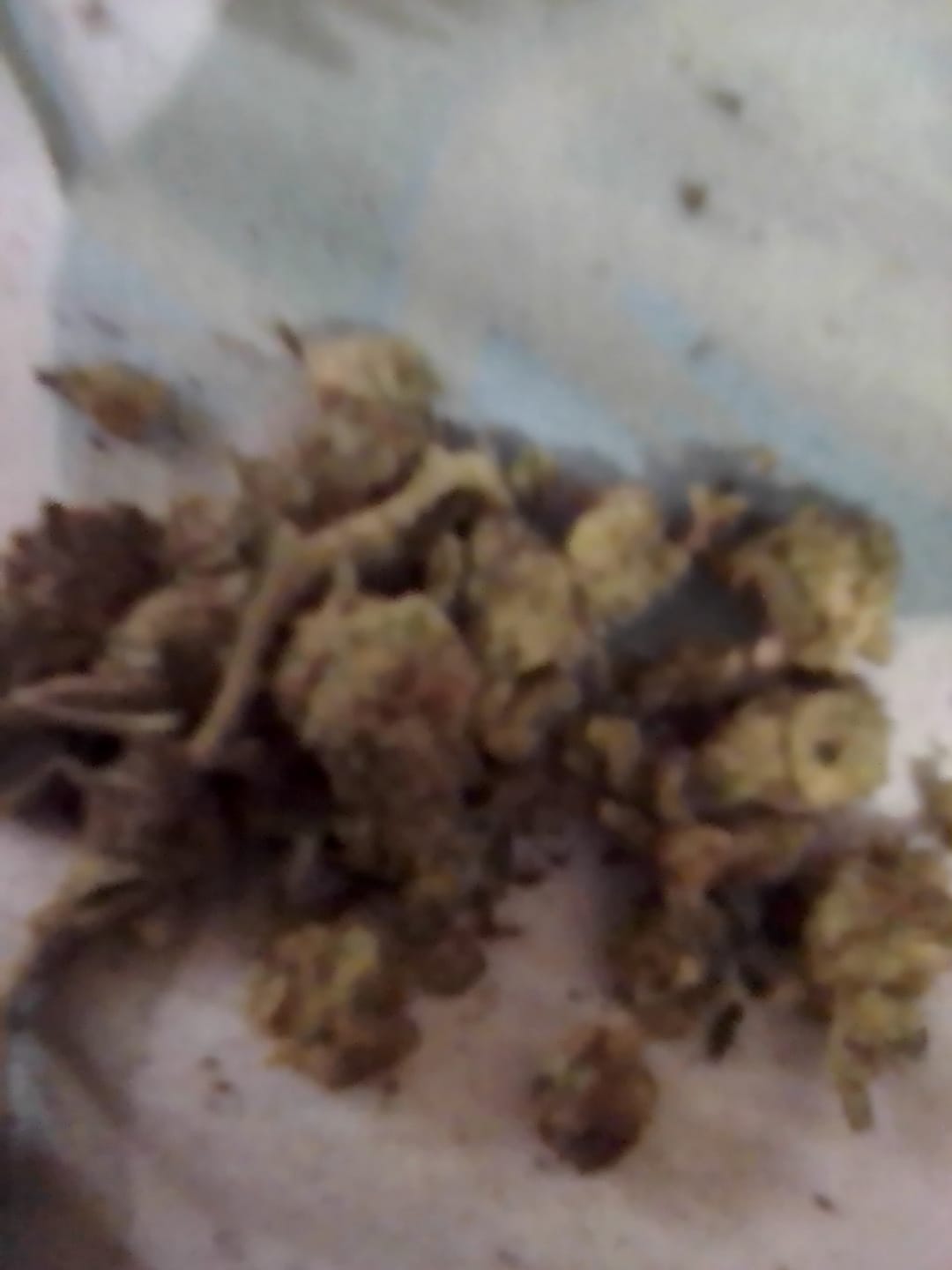 Customer photo review of Cheap THCA Smalls Ounce