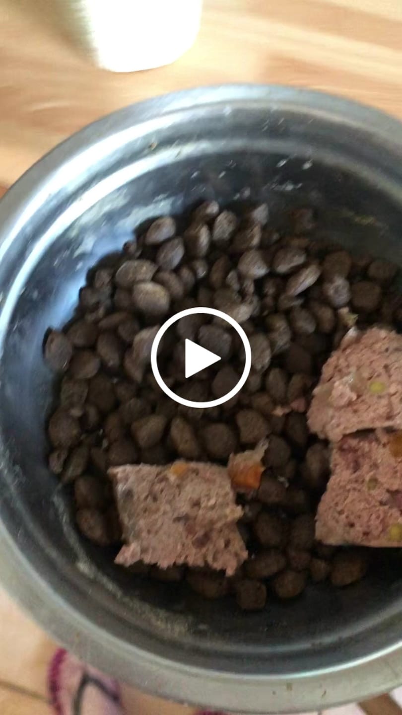 Customer video review of Box Découverte - Chien Moy./Grande Race