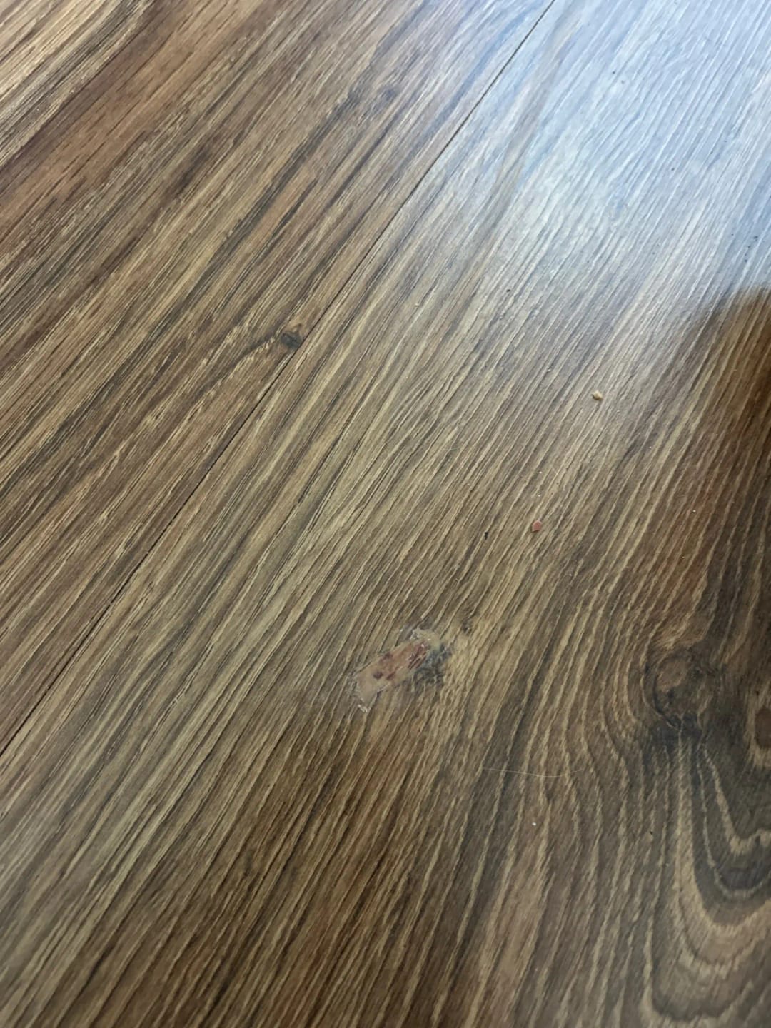 Customer photo review of Mastic à bois Aquelie pour fissures et trous