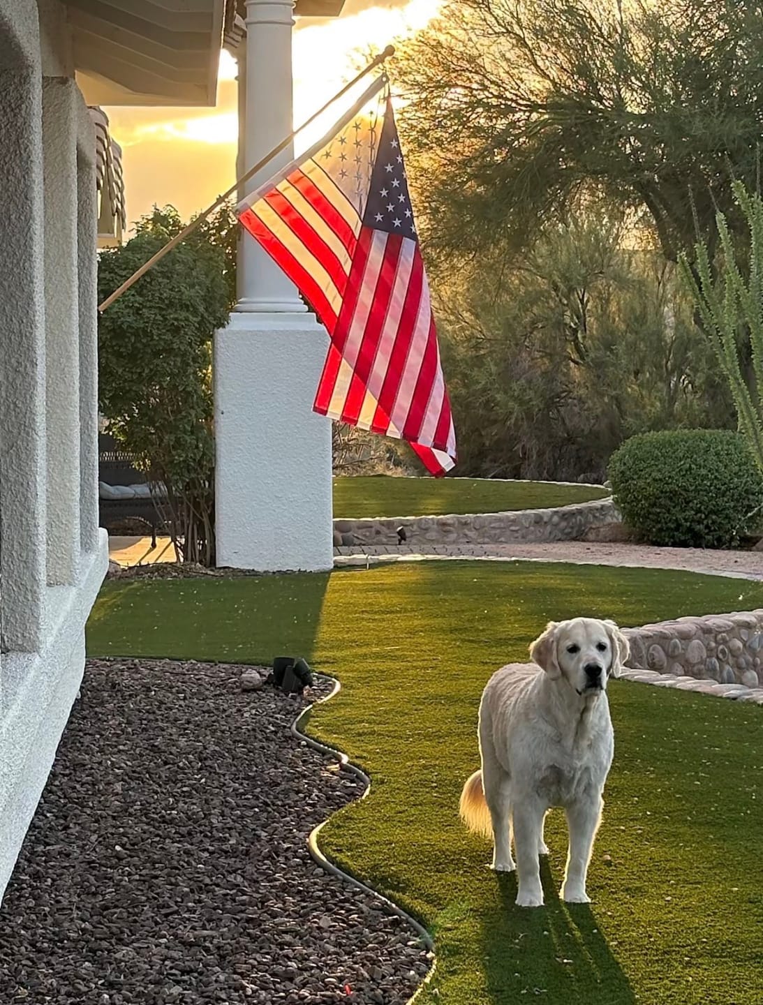 Customer photo review of 3' x 5' American Flag Set