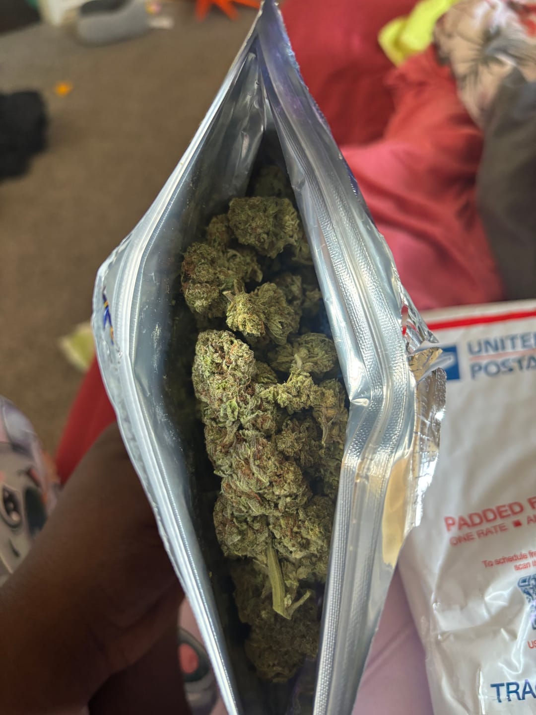 Customer photo review of Cheap THCA Flower Ounce