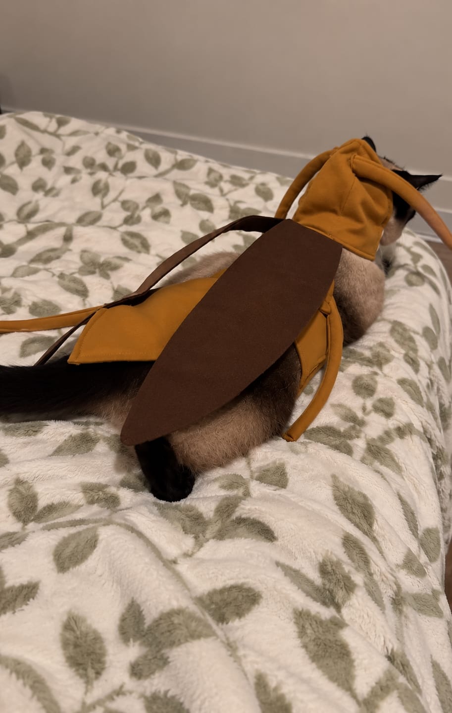 Customer photo review of Bug Bite Pet costume