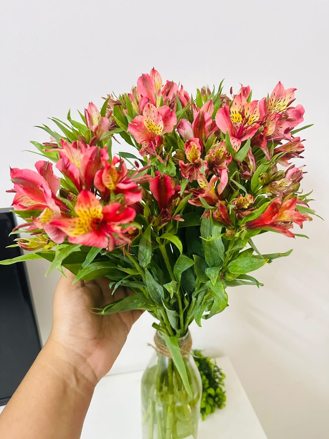 Customer photo review of Alstroemeria // Hyderabad