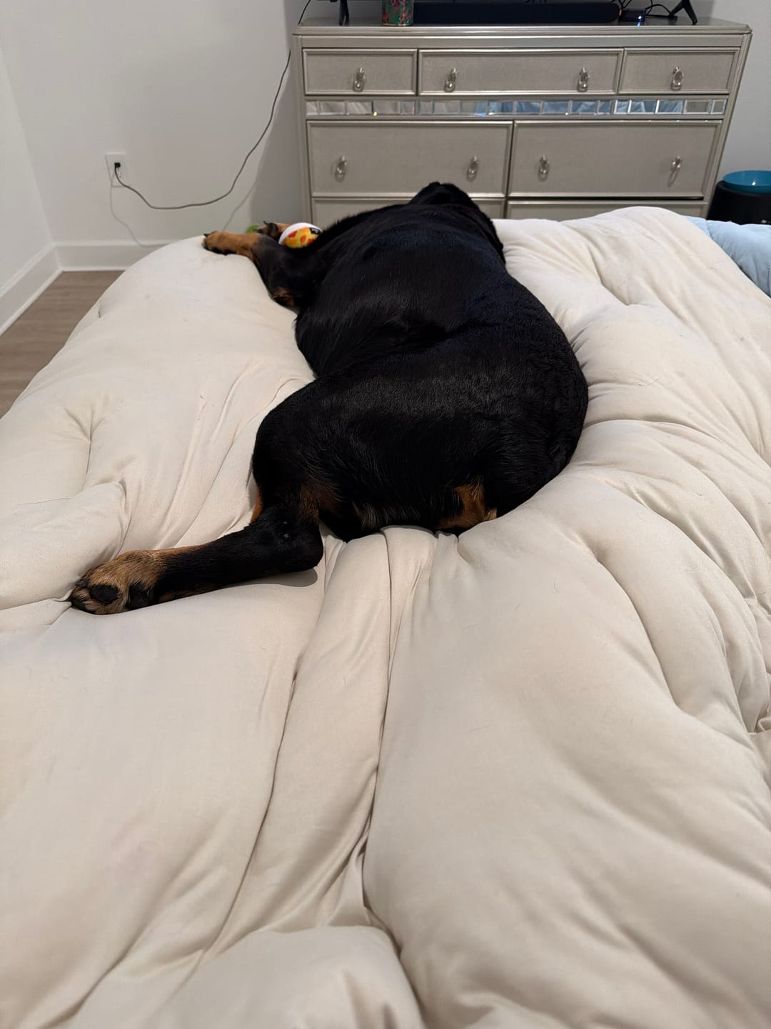 Customer photo review of MarshMellow Comforter