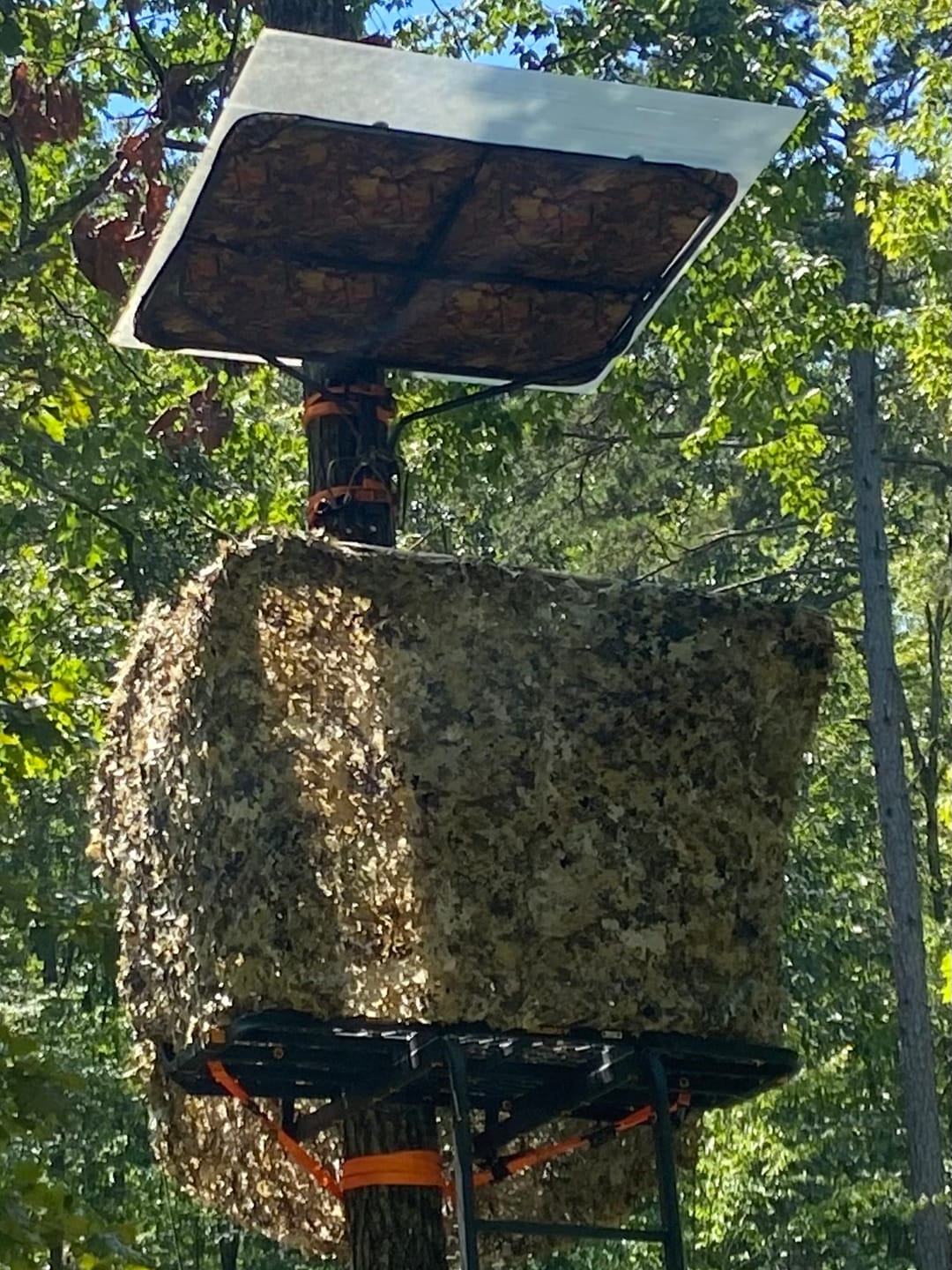 Customer photo review of Hunting Blind Camo Netting with Reinforced Mesh Backing