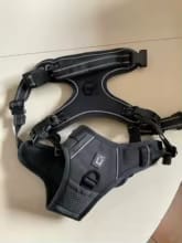 Customer photo review of No Pull Dog Harness – Adjustable Padded Vest with Front Clip and Handle