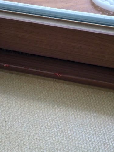 Customer photo review of Mastic à bois Aquelie pour fissures et trous