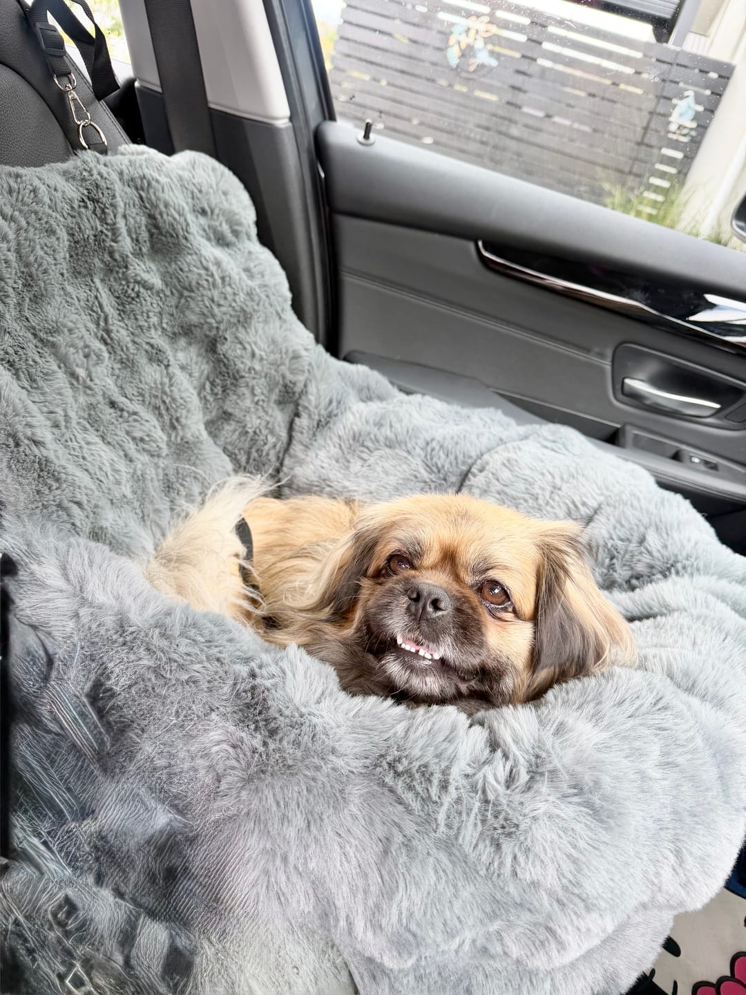 Customer photo review of Calming Car Bed