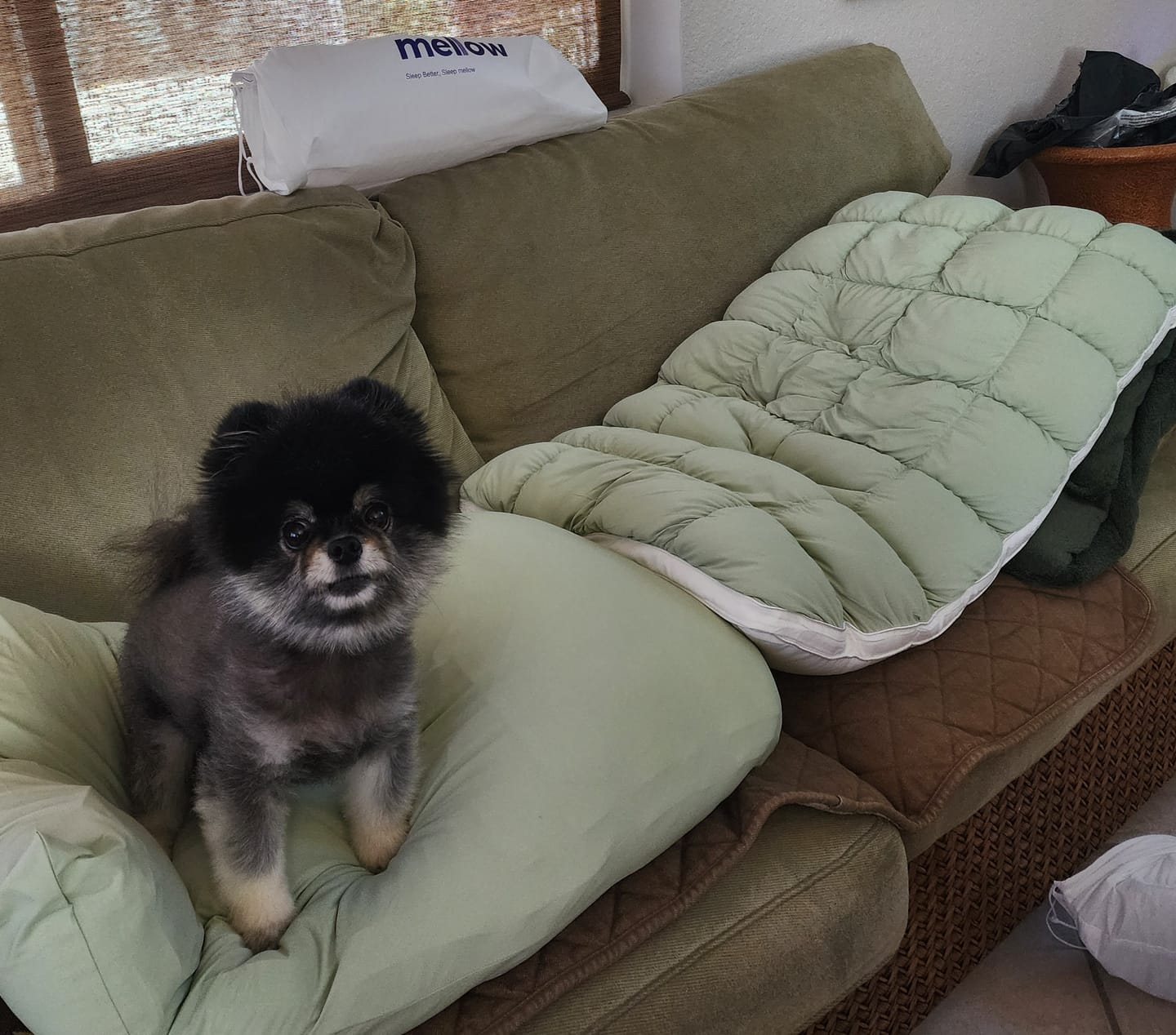 Customer photo review of Cooling Pillowcases (2-Pack)