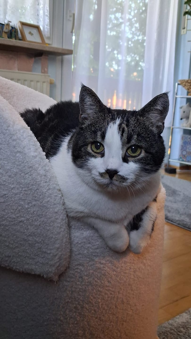 Customer photo review of Katzenstreu (Angebot)