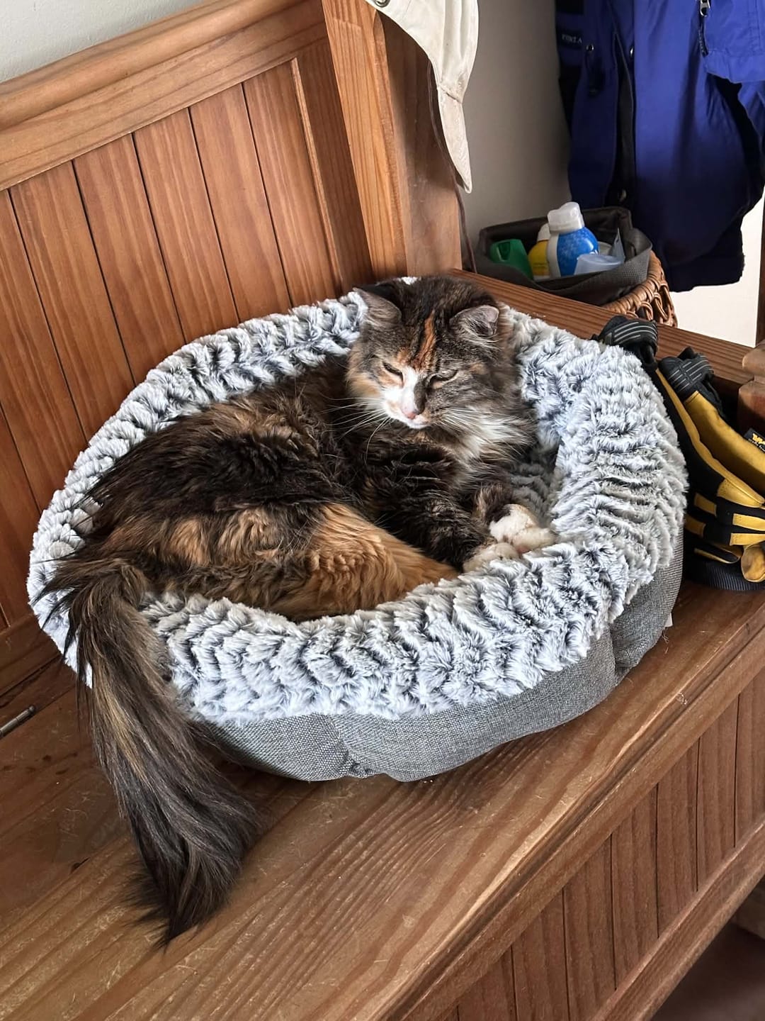 Customer photo review of Bark-Less Bites