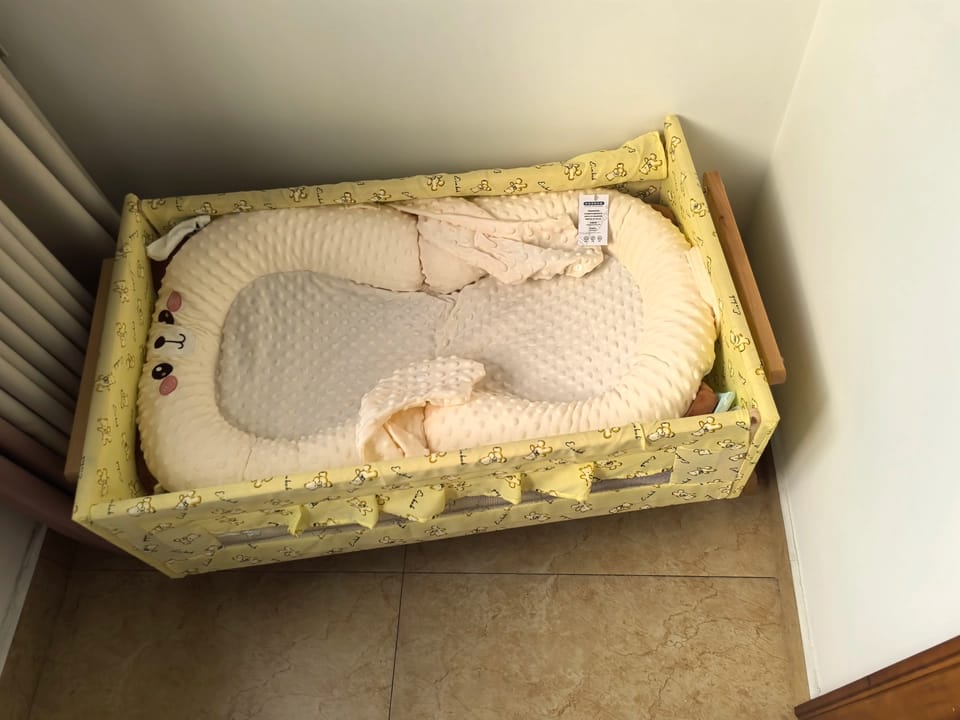 Customer photo review of Patting Animal Baby Nest Pillow