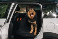 Customer photo review of Aktoclean RoadBed™️ – Extension de banquette rigide pour chien