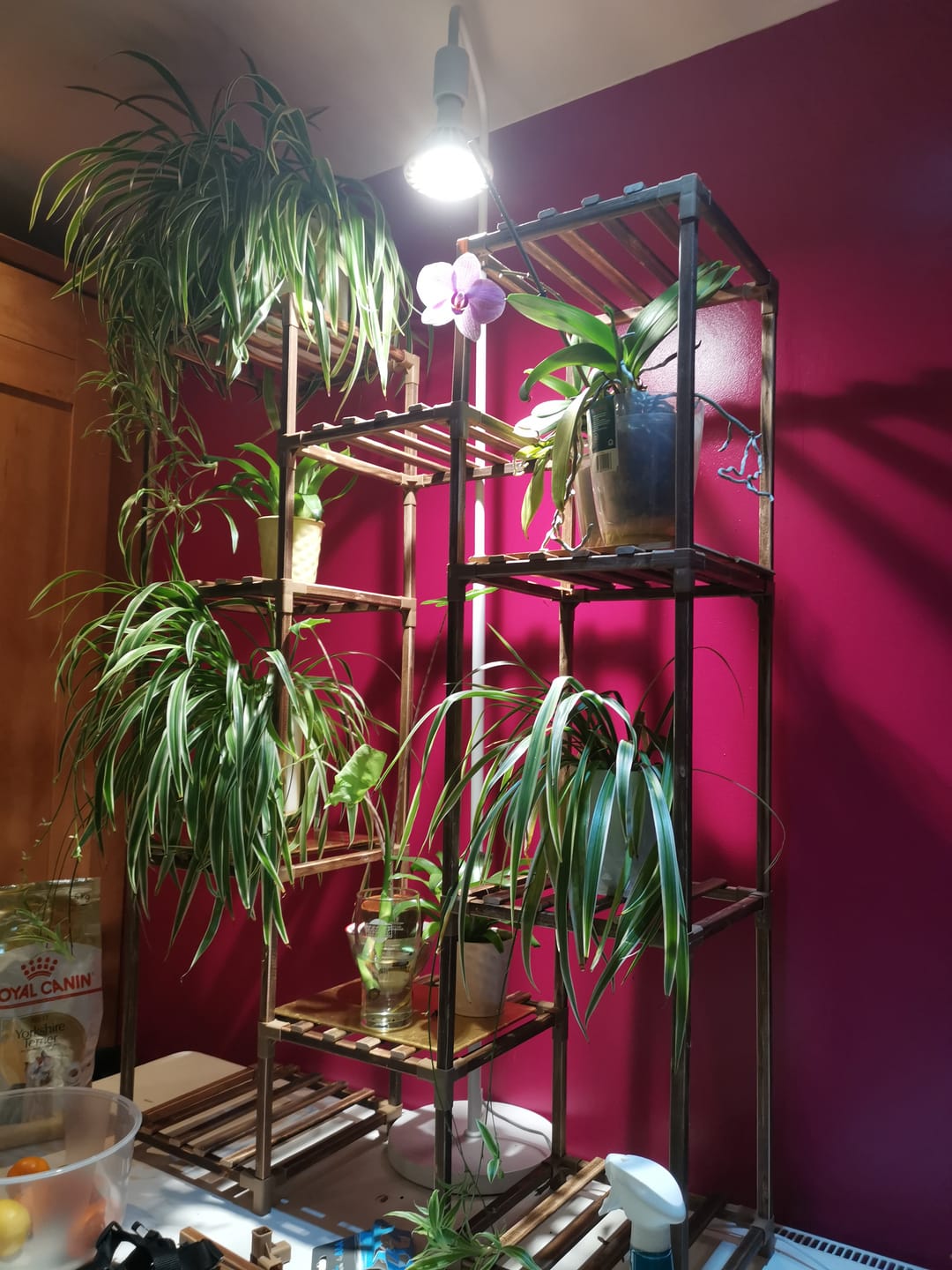 Customer photo review of Pianta Adjustable Floor Lamp
