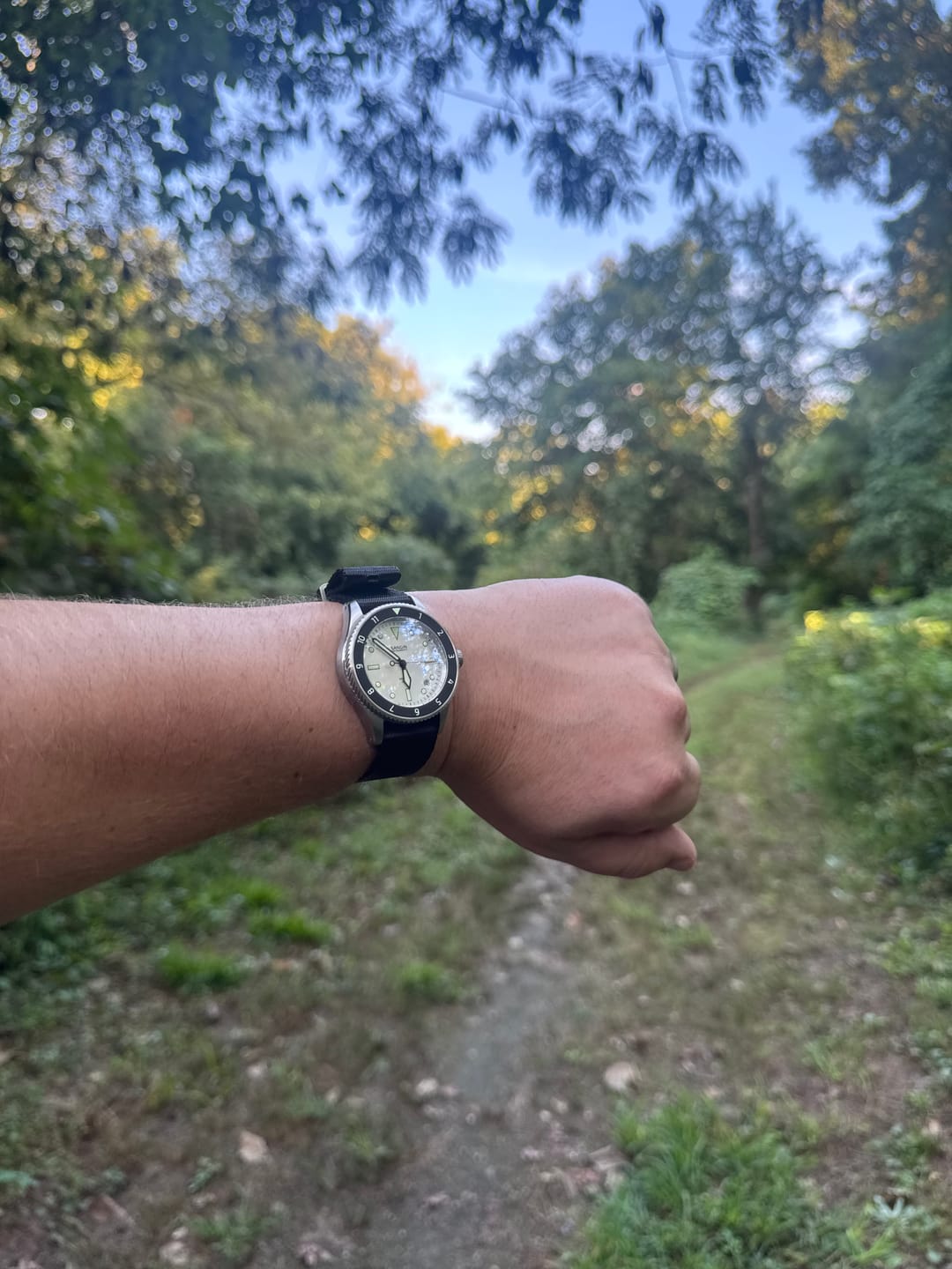 Customer photo review of Merlin (Private Release)
