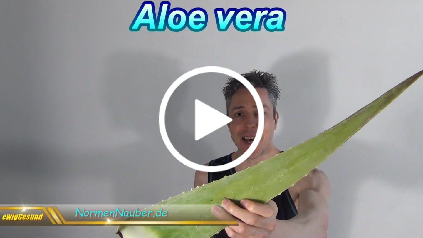 Customer video review of Aloe Vera frisch Bio