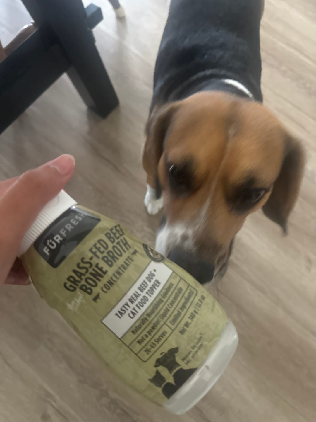 Customer photo review of Grass-Fed Beef Bone Broth Concentrate Dog & Cat Food Topper