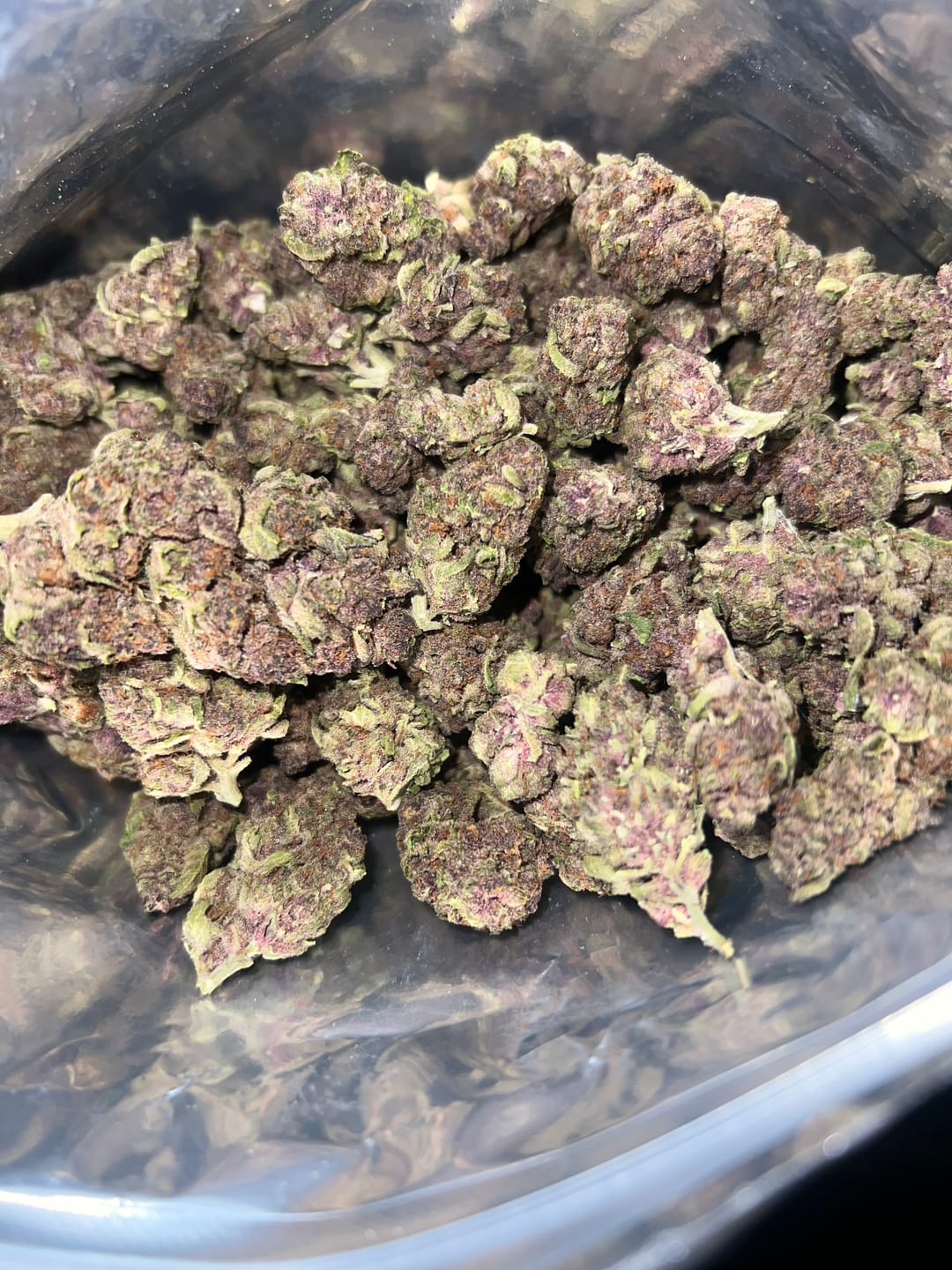 Customer photo review of Tropicana Cherry THCA Flower