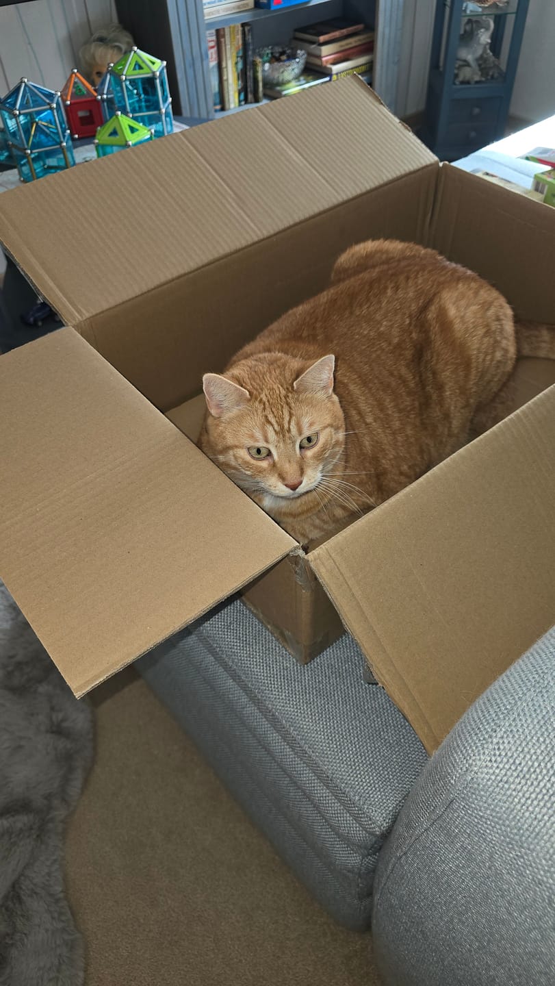 Customer photo review of Katzenklo Schaufel