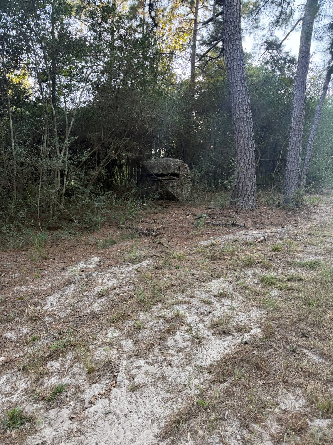 Customer photo review of Vis Series 270 Degree See Through Hunting Blind | Portable 2 3 4 Person Ground Blind | Camo Pop Up Deer Blind for Deer & Hunters