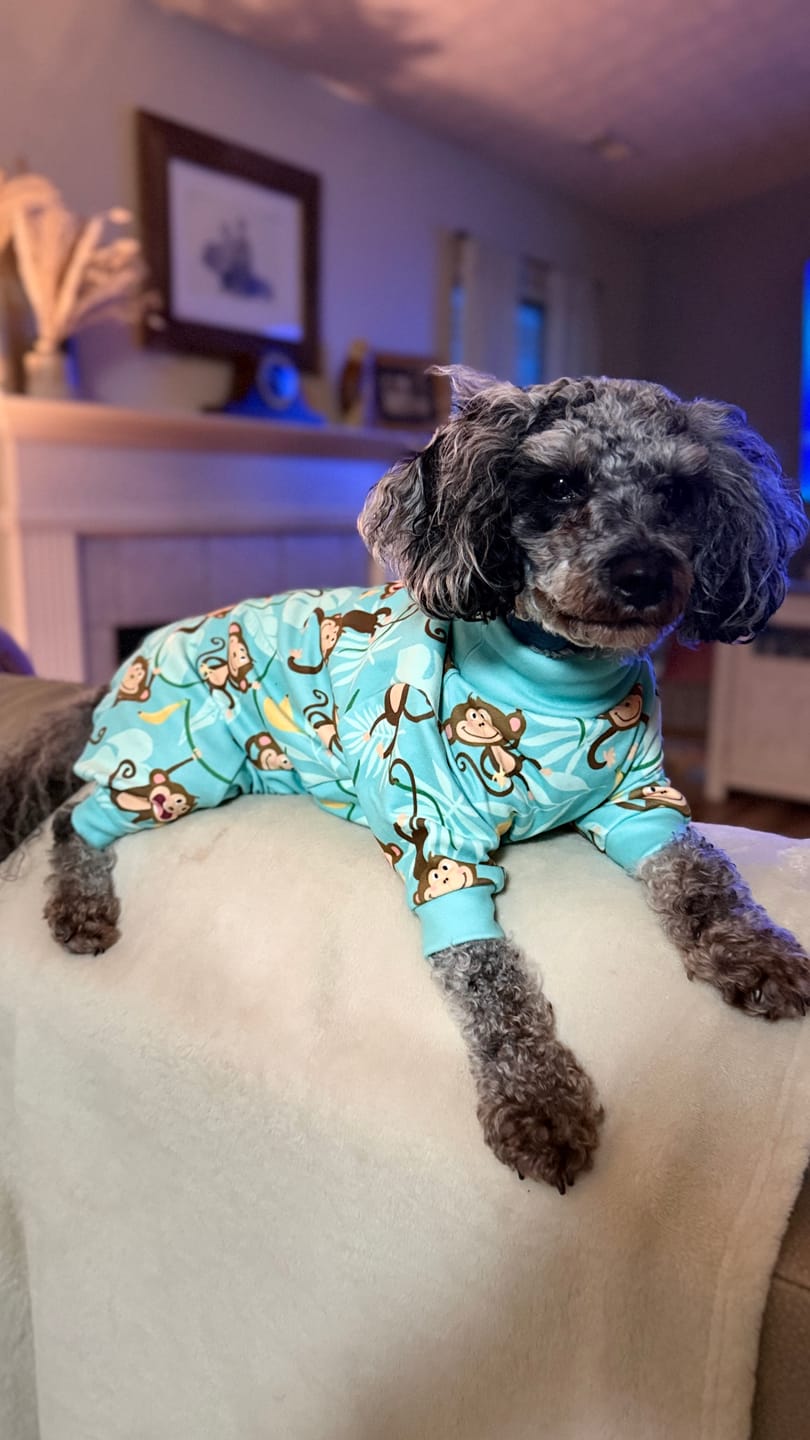 Customer photo review of Dog Pajama - Monkey Business