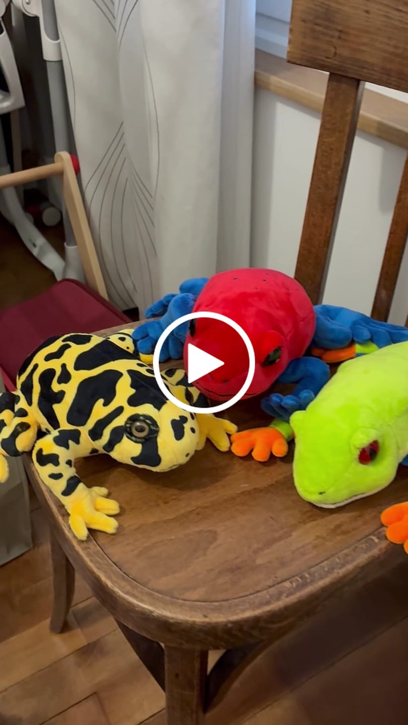 Customer video review of Poison Dart Frog Soft Stuff Plush Toy