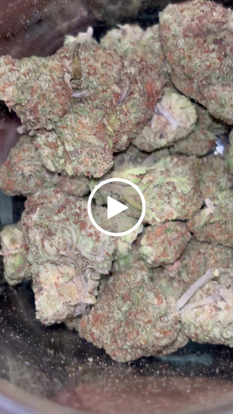 Customer video review of Acapulco Punch THCA Flower