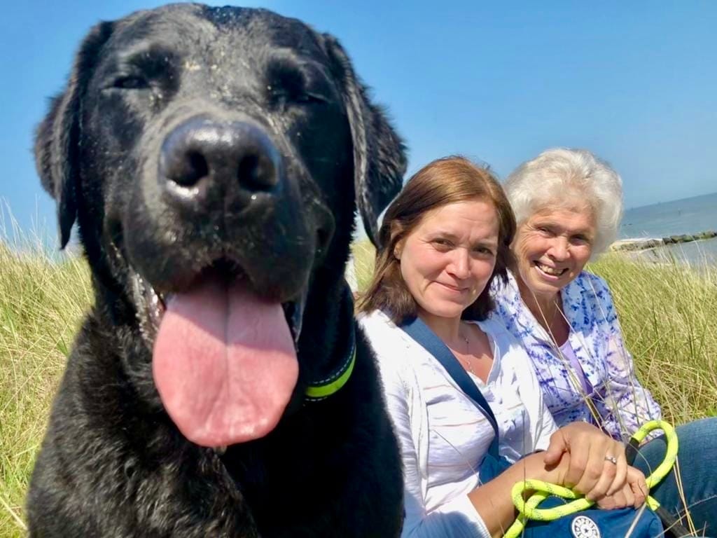Customer photo review of Original Beef - Adult Dry Dog Food 15Kg