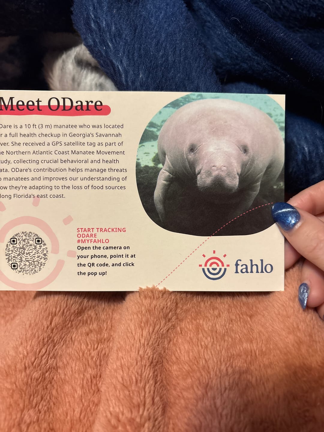 Customer photo review of Fahlo Monthly Club