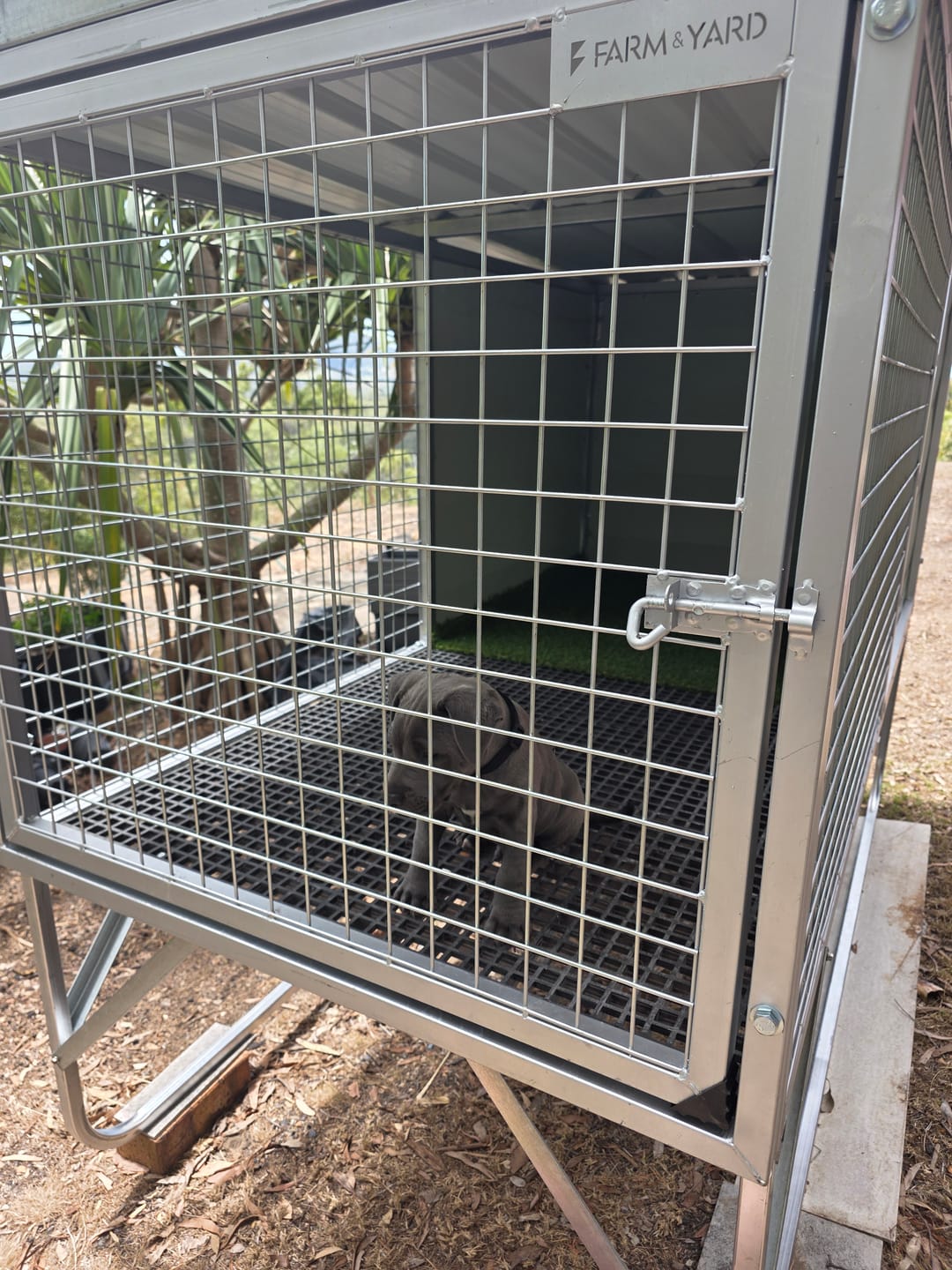 Customer photo review of "Aussie Dog Kennels" Raised Dog Kennel