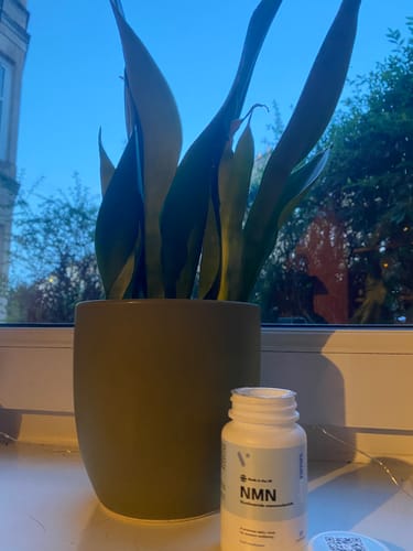 Flacon de complément Pure NMN de la cliente posé sur un rebord de fenêtre à côté d'une plante en pot.
